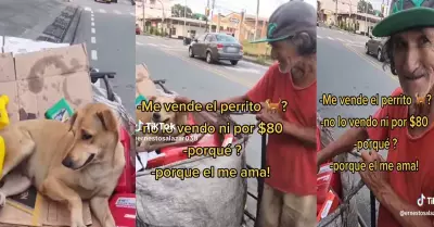 Reciclador recibe oferta de $80 dlares por su perrito, pero se niega a venderlo