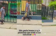 "Tiene un gran corazn": Hombre ayuda a su perrito enfermo a caminar