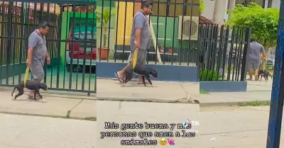 Hombre ayuda a caminar a su perrito enfermo con una manta.