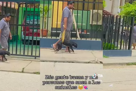 Hombre ayuda a caminar a su perrito enfermo con una manta.