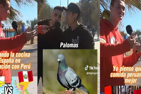 Espaol afirma que los peruanos comemos palomas.