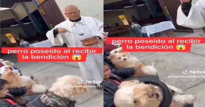 Padrecito bendice mascotas y un perrito es 'posedo' en plena misa.
