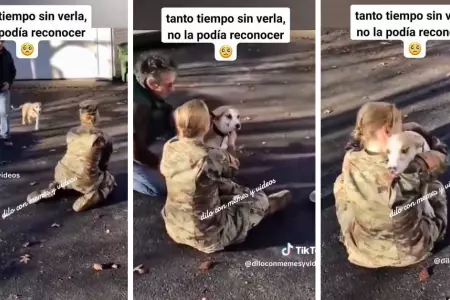 Un soldado y su mascota tienen emotivo reencuentro.