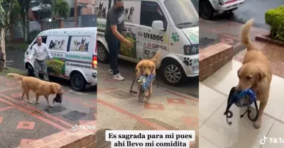 Perrito carga su lonchera al llegar de la guardera.