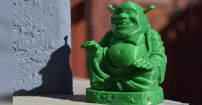 Una mujer rez por cuatro aos a Shrek pensando que era Buda.