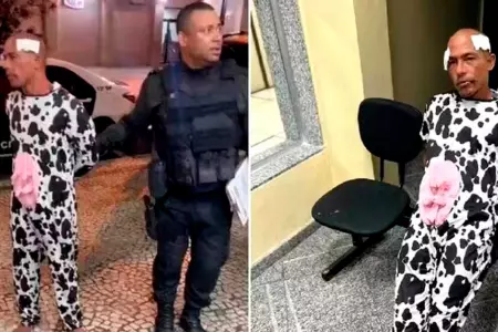 Ladrn disfrazado de vaca en Brasil.