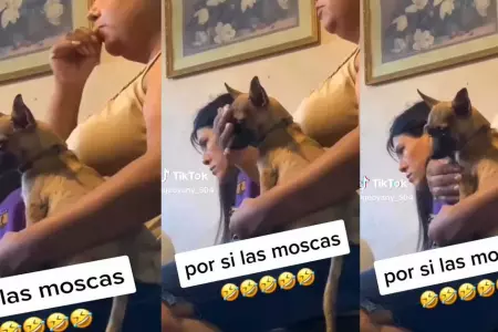 Mujer persigna a su perrito y escena se vuelve viral en TikTok.