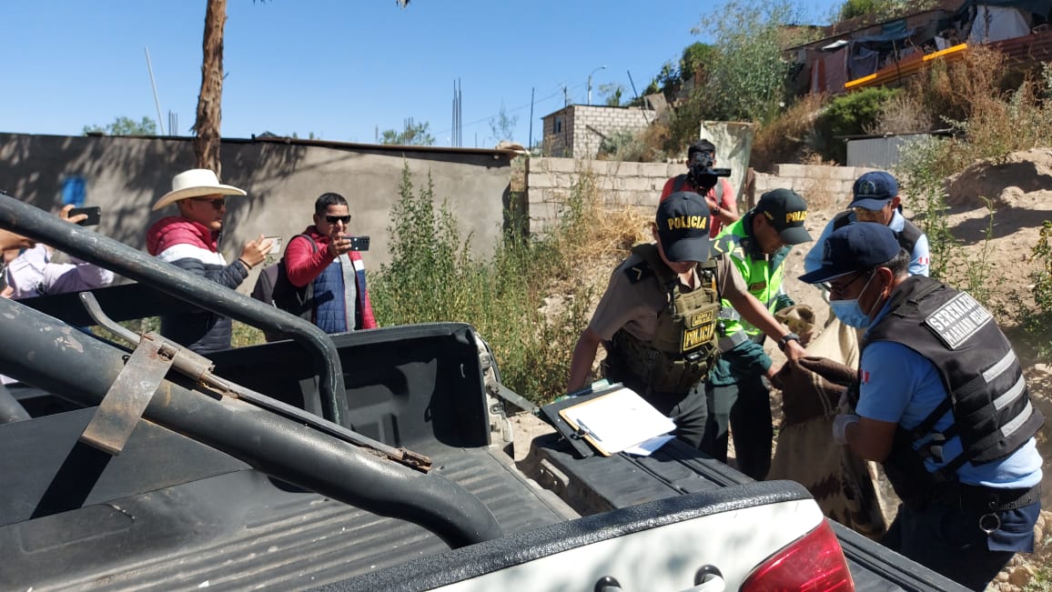 Hallan sin vida a mujer dentro de un inmueble del distrito de Mariano Melgar