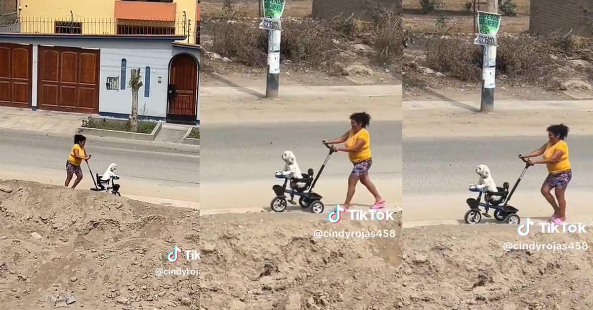 "Firulais consentido": Mujer causa controversia al sacar a pasear a su ...