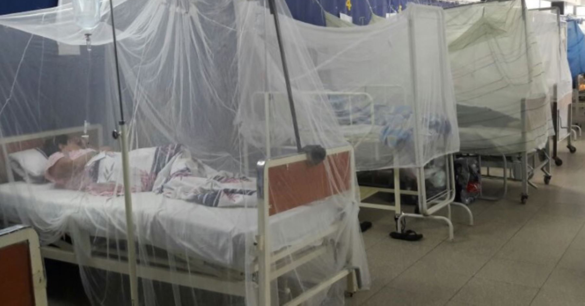 Colegio Médico de Piura: Casos de dengue superan los 25 mil contagiados en este "brote histórico"