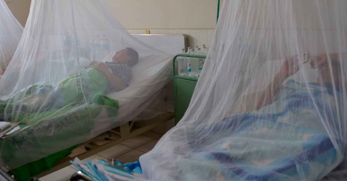 Piura: Reporta 40 fallecidos por dengue en lo que va de 2023