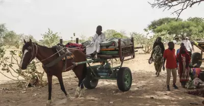 Miles de refugiados sudaneses huyen de la violencia a pie o a caballo