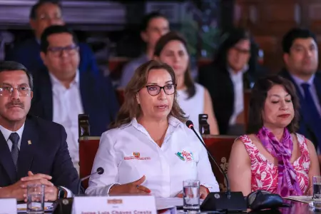 Dina Boluarte salud que CIDH haya establecido que Pedro Castillo viol el orden