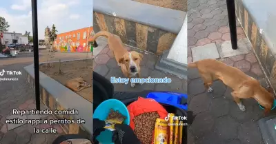 Joven se convierte en delivery motorizado para llevar comida a perritos de la ca