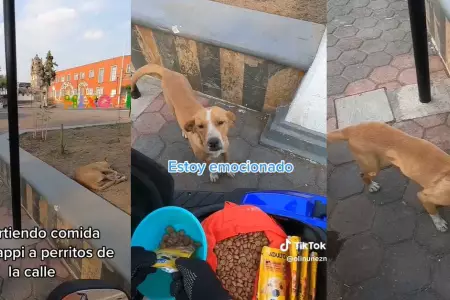 Joven se convierte en delivery motorizado para llevar comida a perritos de la ca