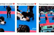 Amor del bueno: Perrito interrumpe competencia de Jiujitsu para defender a su dueo