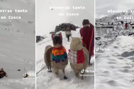Turistas subieron a la Montaa de 7 Colores, pero la encuentran cubierta de niev