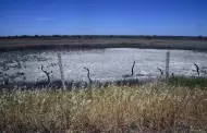 Gobierno español lanza medidas frente a la sequía que asfixia al país