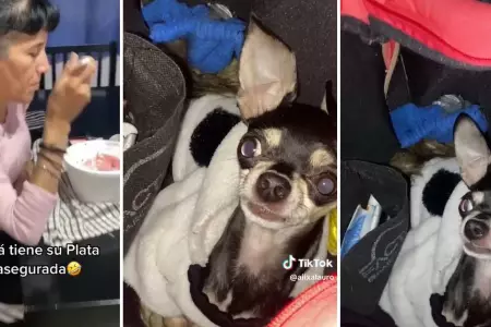 Perrito impide que joven agarre dinero de la cartera de su mam.