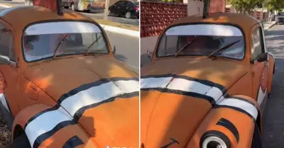 Tunean Volkswagen con apariencia de Nemo