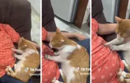 Gato hace masajes a su dueo y termina hacindolo dormir: "Las patitas ms suaves del planeta"