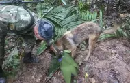 Hallan vivos a cuatro nios tras 17 das perdidos en la selva colombiana