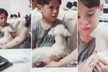 Niño rescata a perro que encontró en puerta de su casa y llora para conservarlo