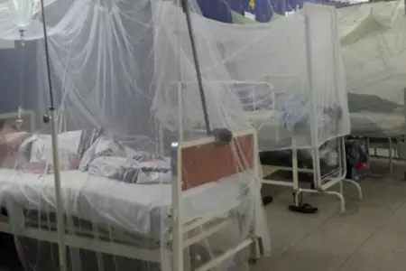 Ms de 25 mil casos de dengue en Piura.