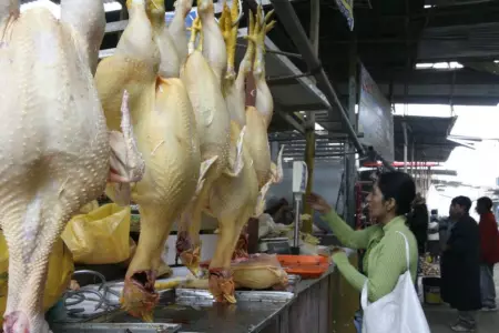 Precio de pollo disminuye al superarse factores negativos de gripe aviar.