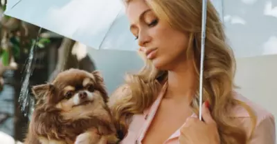Paris Hilton llora la muerte de su chihuahua