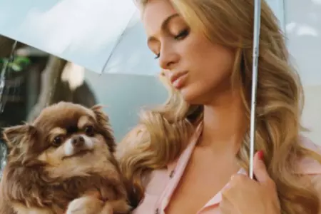 Paris Hilton llora la muerte de su chihuahua