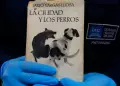 Cuatro ejemplares de las obras de Mario Vargas Llosa sern declaradas Patrimonio Cultural