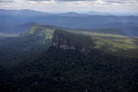 Cientficos simularn cambio climtico en la Amazona para estudiar sus efectos