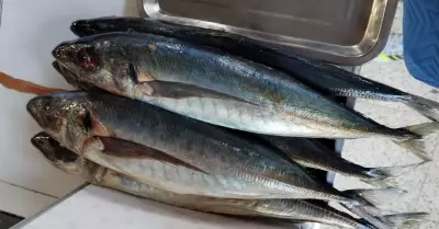 Venden pescado congelado en mercados a causa de los oleajes anmalos