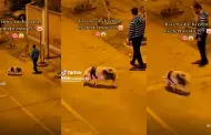 "¡Cómo es posible este suceso!": Muchacho es ampayado paseando a su cerdito en la calle como si fuera un perro