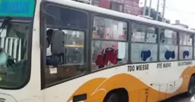 Mujer destroza con un bate de béisbol lunas de autobús