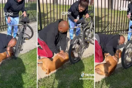 Hombre le salva la vida a su perro con RCP, en Estados Unidos.