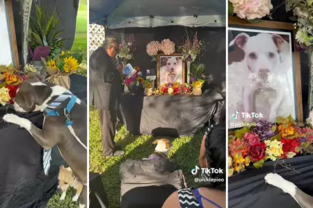 Perrito conmueve a todos por su reacción en el funeral de su amigo.