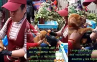 "Adoptado, pero a qué costo": Perrito recibe un ritual para quitar el susto