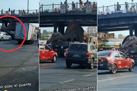 "Dinosaurio" se atora en Puente Acho y causa trfico