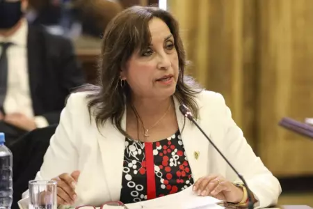 Dirigente de Puno presentó demanda constitucional contra Dina Boluarte