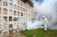 Dengue en el Perú: Municipalidad de Surco crea comité para control de brotes contra la enfermedad