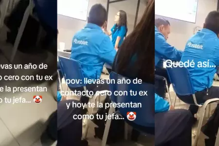 Luego de un ao de su separacin, un joven se entera que su ex es su nueva jefa.