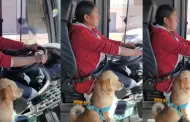 "El mejor guardin": Mujer no duda en ir a trabajar con su perrito al lado