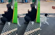 "Humano que se duerme": Perrito roba jamn del desayuno de un hombre y usuarios de TikTok estallan