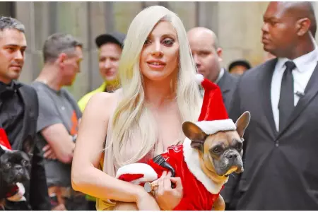 Lady Gaga no pagar recompensa que ofreci por encontrar a sus perros