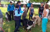 Miraflores: Municipalidad multará con casi S/1.000 a dueños que paseen a perros de raza "peligrosa" sin bozal