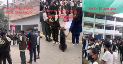 Perrito participa de simulacro en colegio