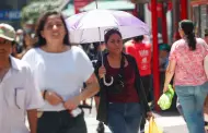 Fenmeno del Nio: Cmo ser el invierno en Lima? Esto dice Senamhi