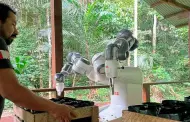 YuMi: El revolucionario robot que contribuye a la reforestacin de la Selva